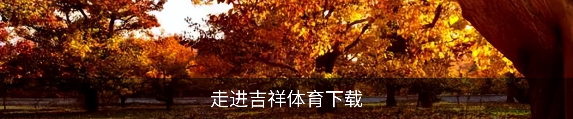 走进吉祥体育下载